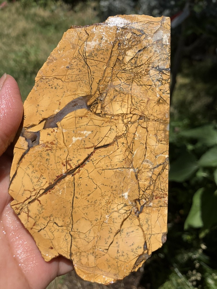 Brecciated Gold Jasper Slab