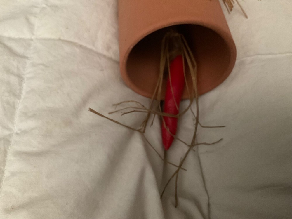 Southwest Style Red Hot Pepper Wind Chime