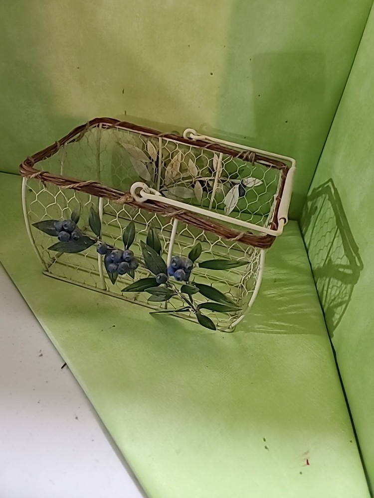 Blueberry Wire Basket