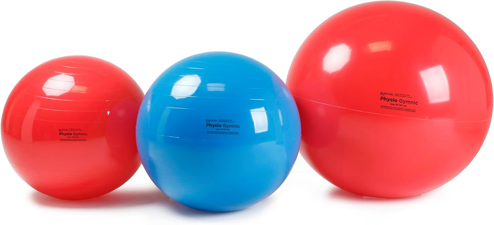 Physio Exercise Ball