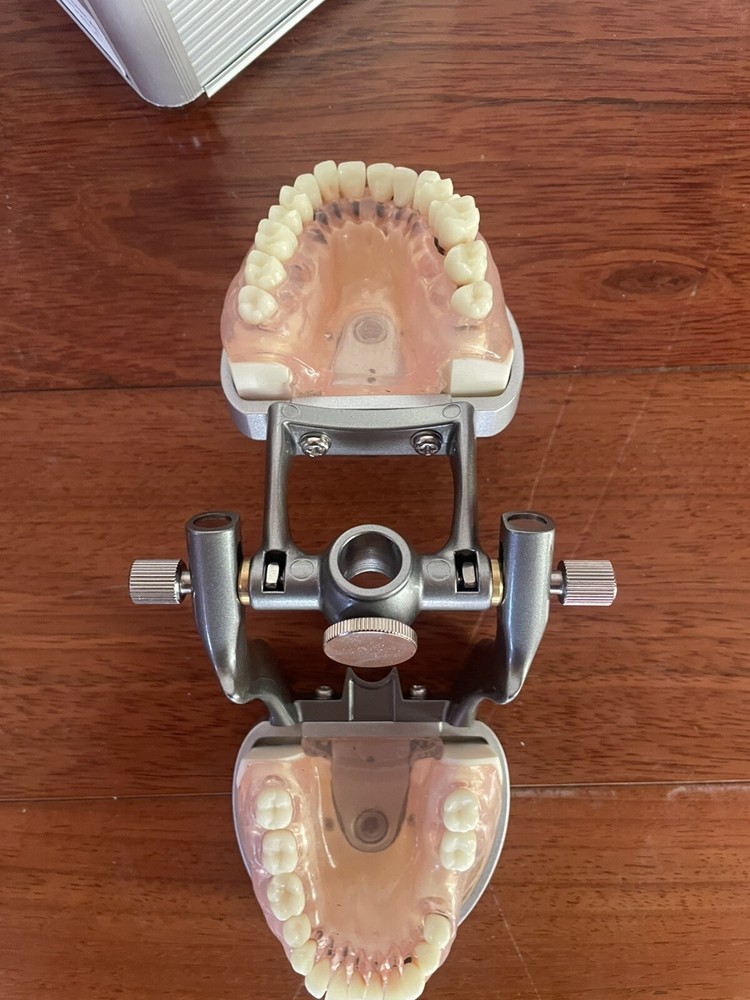 ModuPRO Perio w/ articulator ‑ clear