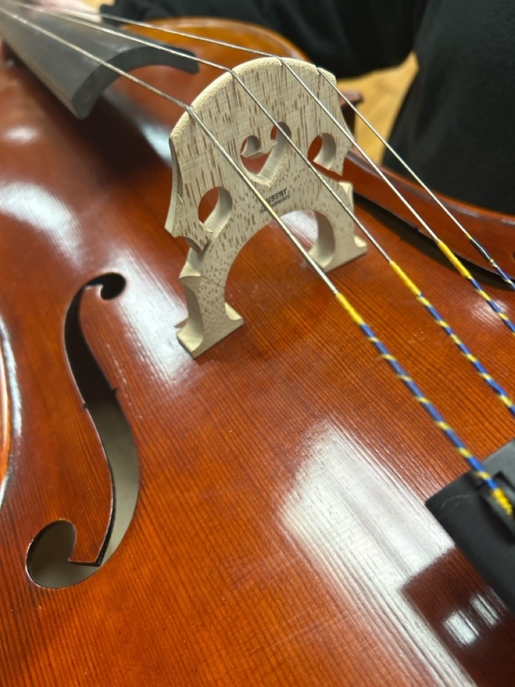 PRODIGIO STRINGS CUSTOM ARTISTA 4/4 CELLO (RO1059869)