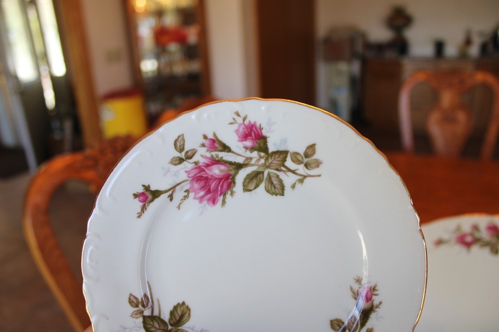 Royal Rose Vintage Fine China Dinnerware 29 Piece Grouping Elegant Rose Pattern