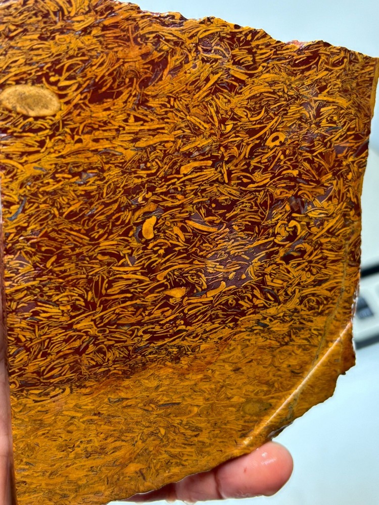 Script Stone Jasper Slab Cabbing Lapidary Collecting Combo Ship Avail