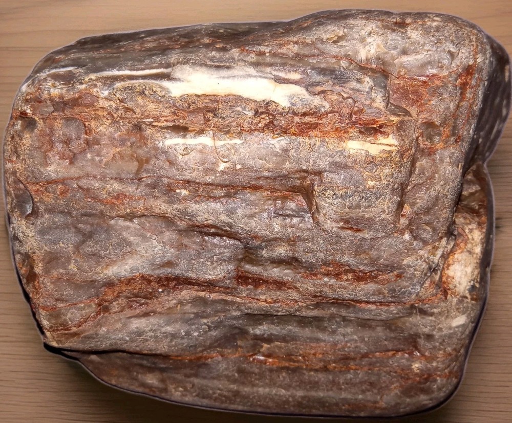 Petrified Agatized Fossilized Wood Rough 2 lbs+