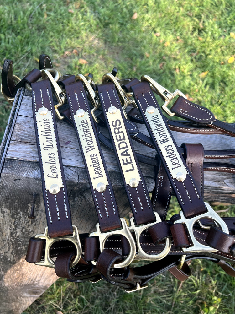 Leaders 1" Havanna Brown Leather Halter White Stitch Solid Brass