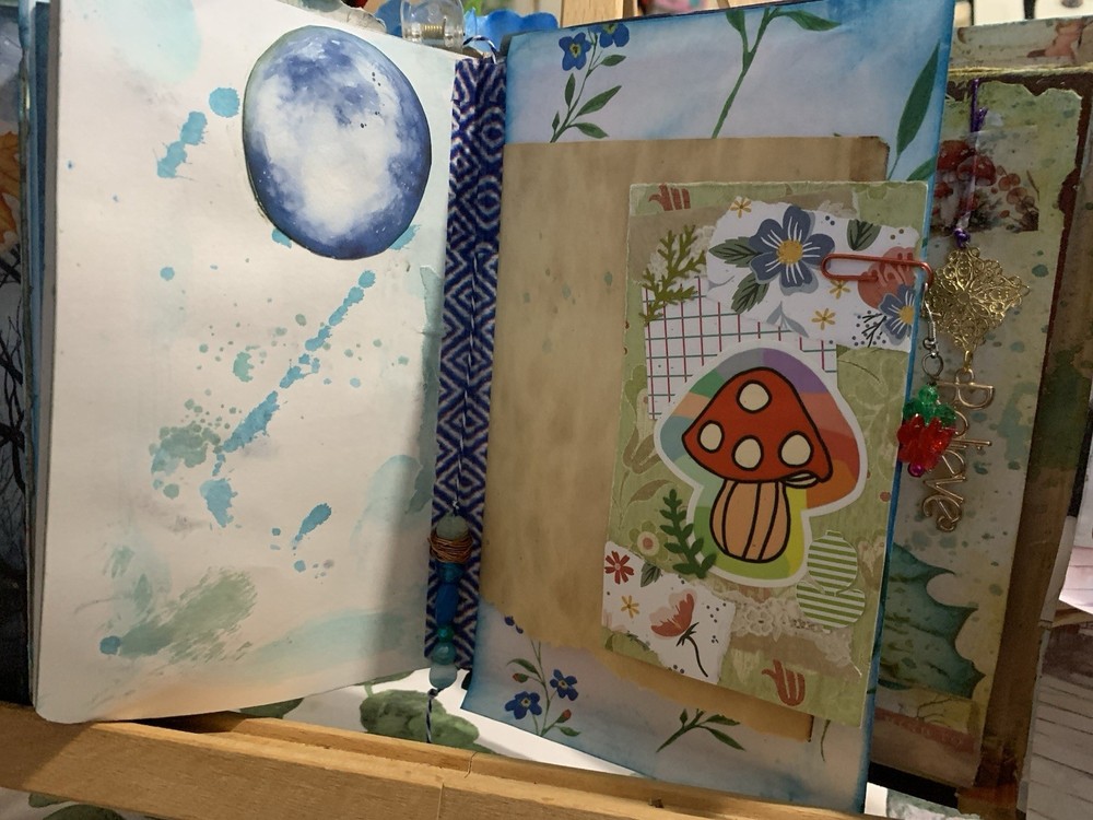 Hidden Castle Mystery Journal