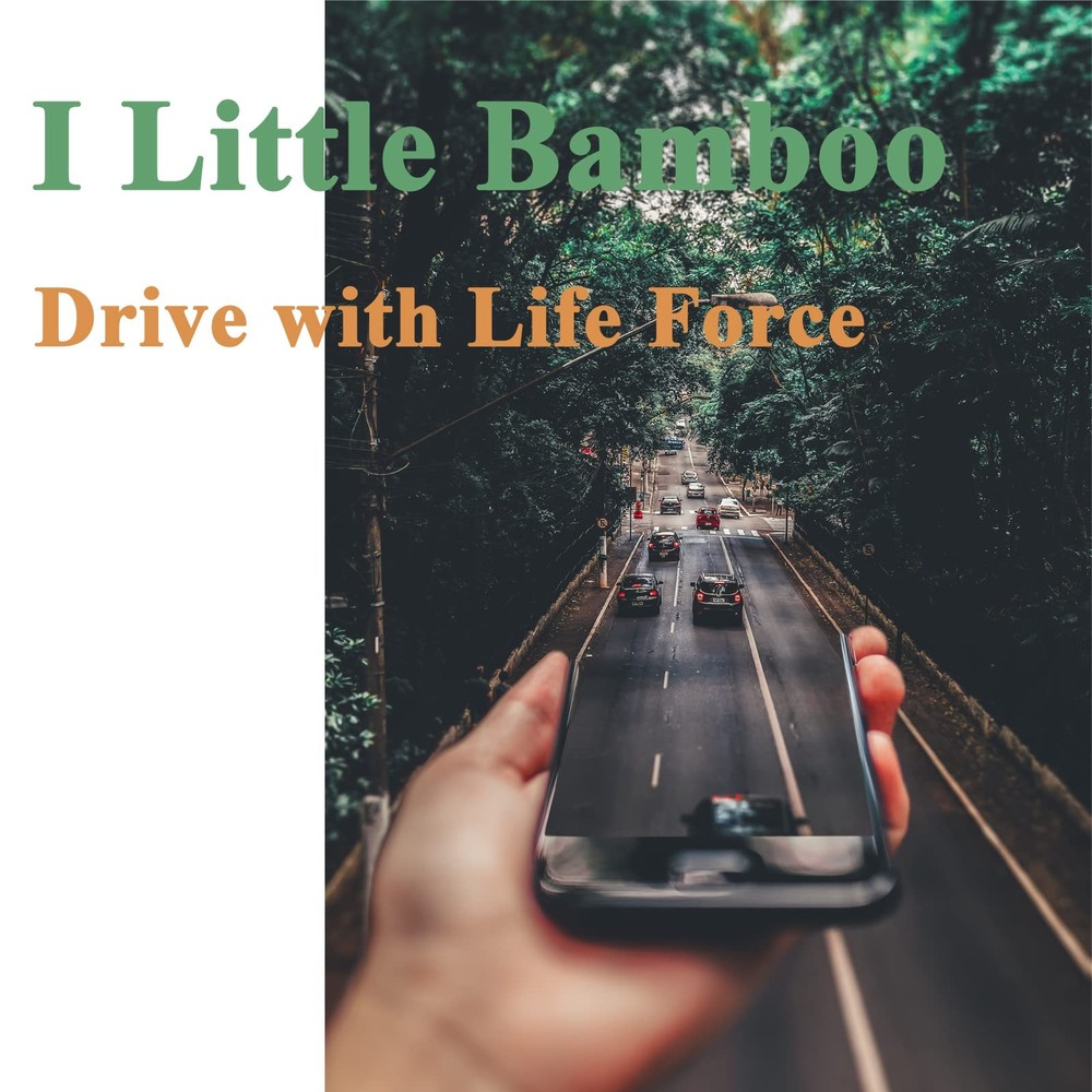 I Little Bamboo SLS66 Stoplight Switch, S237 Brake Light Switch Replacement...