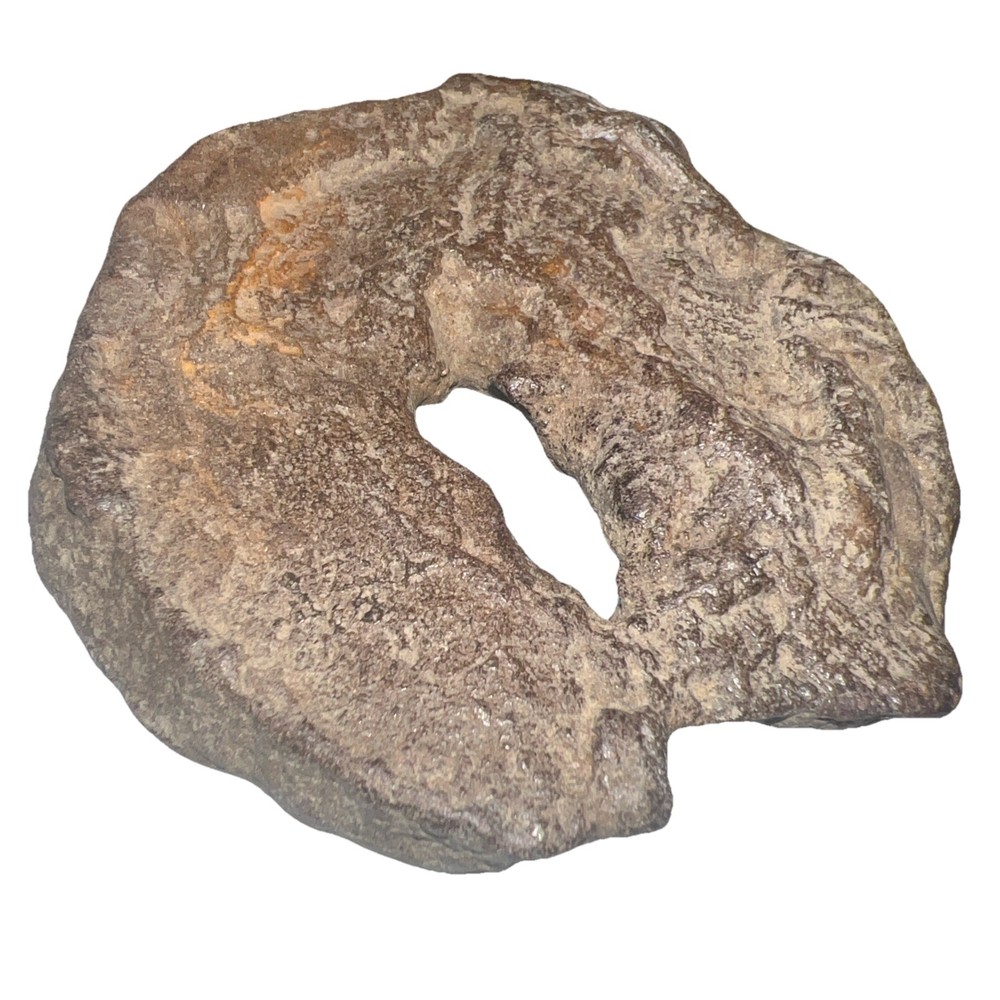 Natural hag stone 8.0 oz.