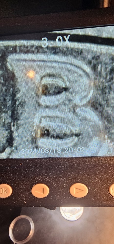 2024 D Hope Quarter DDO/DDR Errors