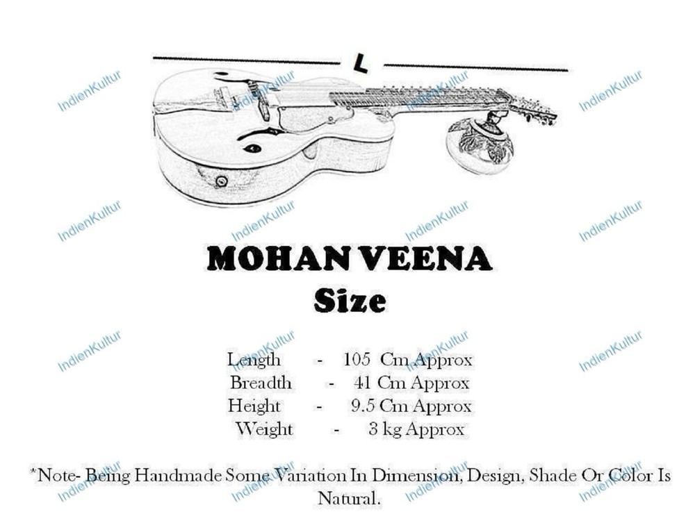CUSTOM MOHAN VEENA GREAT SIDE WEISSENBORN STYLE MAX STRING PRESSURE