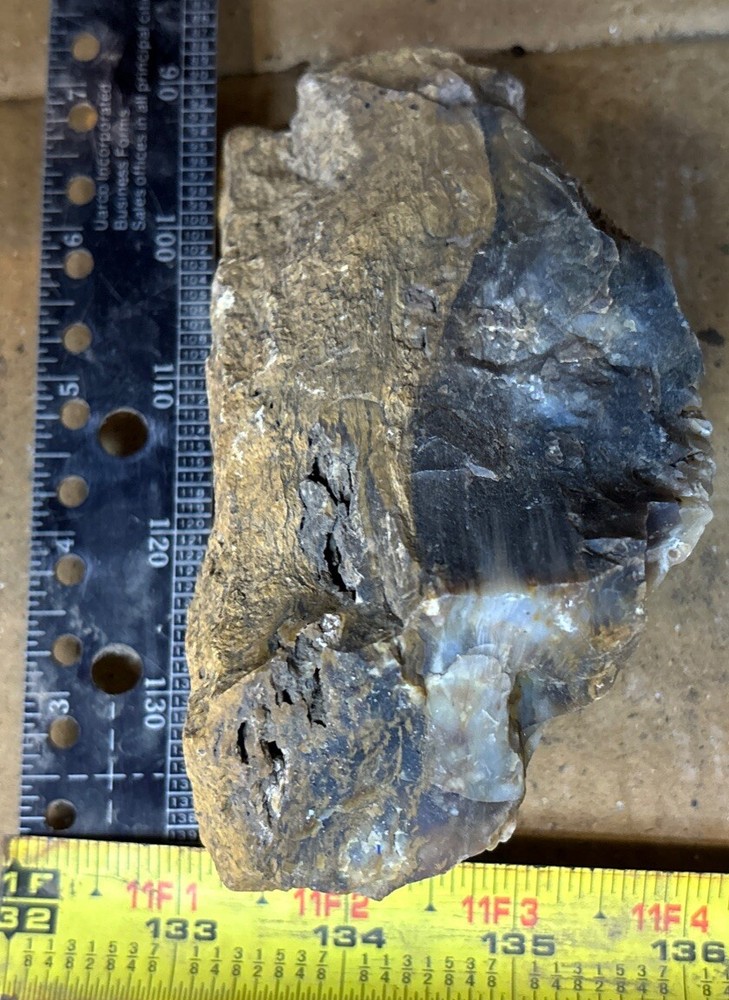 Silver Creek Junction petrified wood