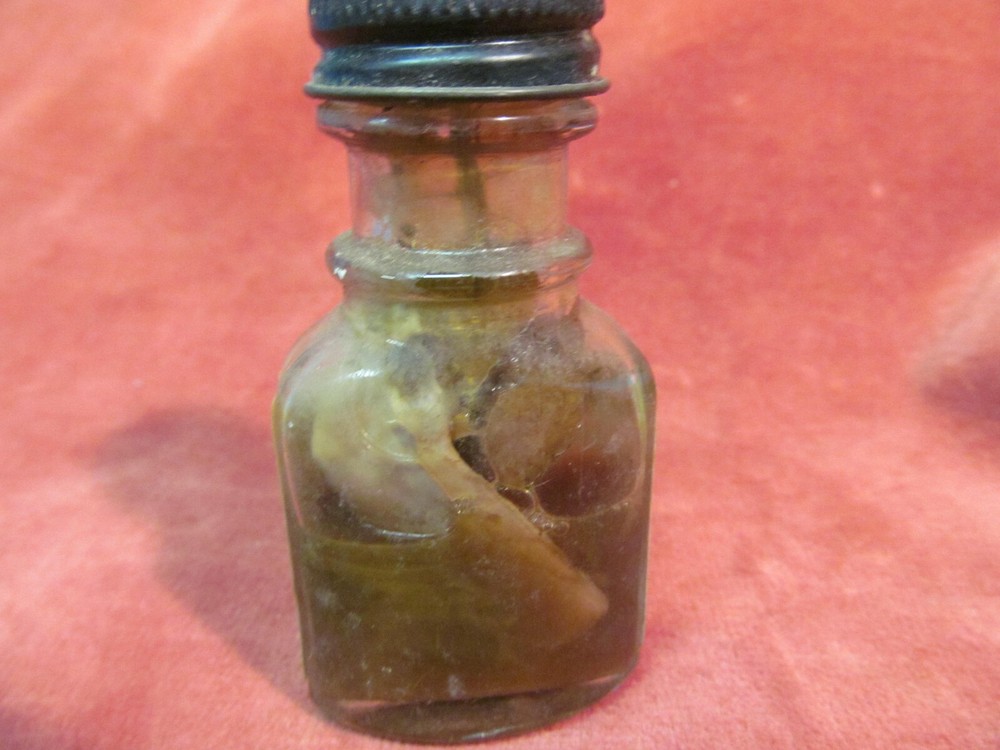 VINTAGE SCHULTZ INSTANT PLANT SHINE BOTTLE