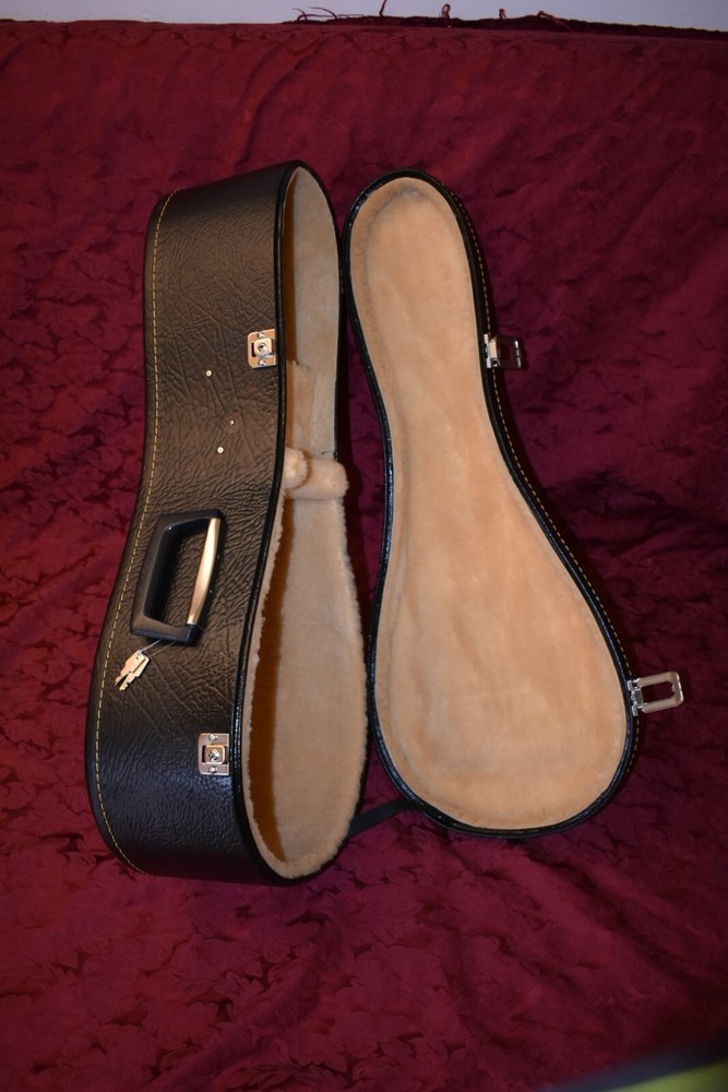 German style mandolin. UNIQUE! 德国风格的曼陀林。独特! 。