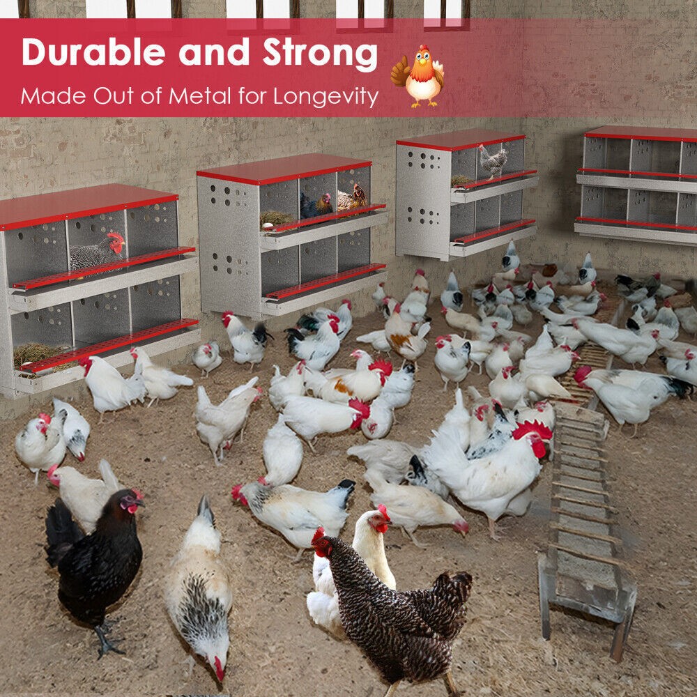 6 Hole Chicken Nesting Boxes Metal Egg Laying Brooding Box With Vent Hole Set