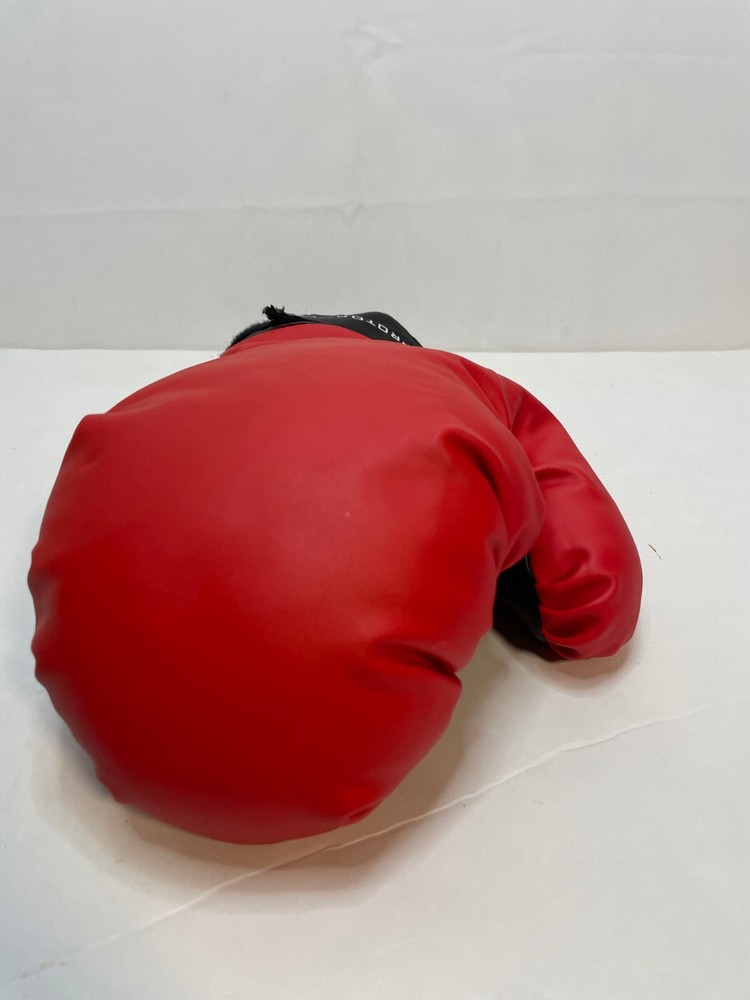 Protocol Boxing Glove right hand only