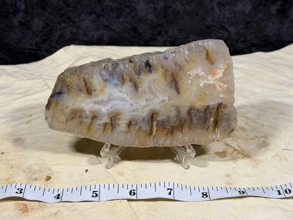 Graveyard Point Plume Agate Slab, Lot #276
