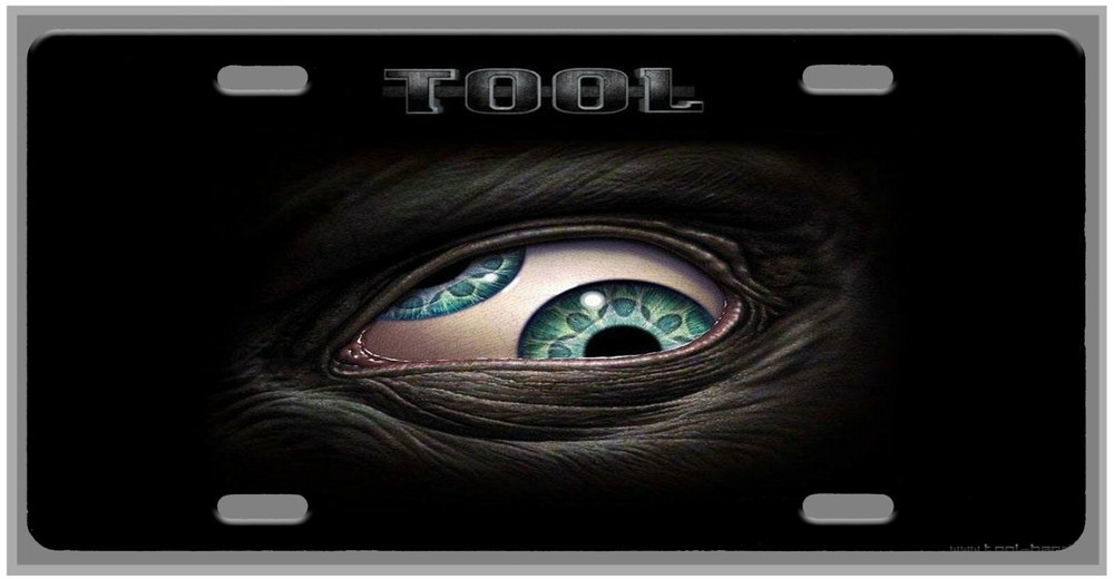 L@@K Tool Eye Car Vanity Tag  License Plate