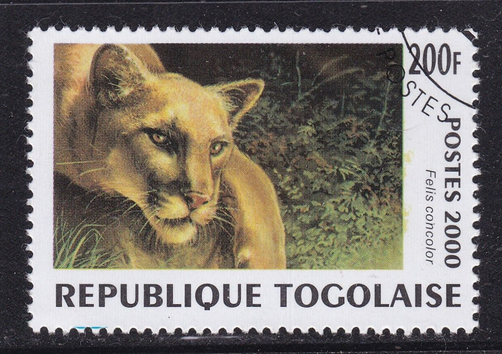 Togo 2000 Cougar 200f CTO VGC