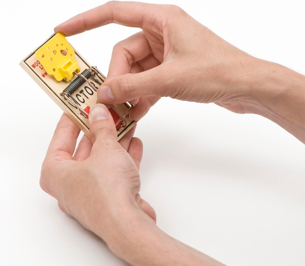 Easy Set Mouse Trap - 2Pk
