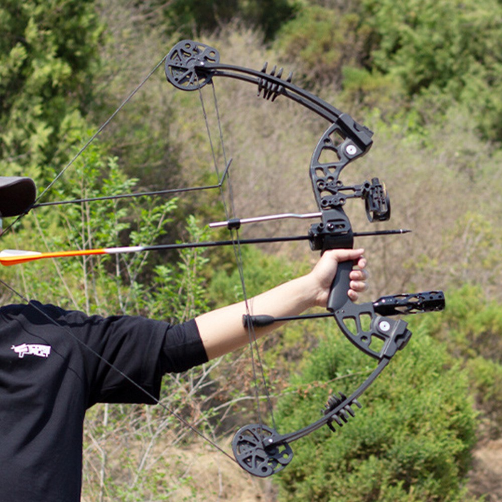 30-60lbs Adjustable Compound Bow Arrows Kit Archery Shooting Hunting Target Set