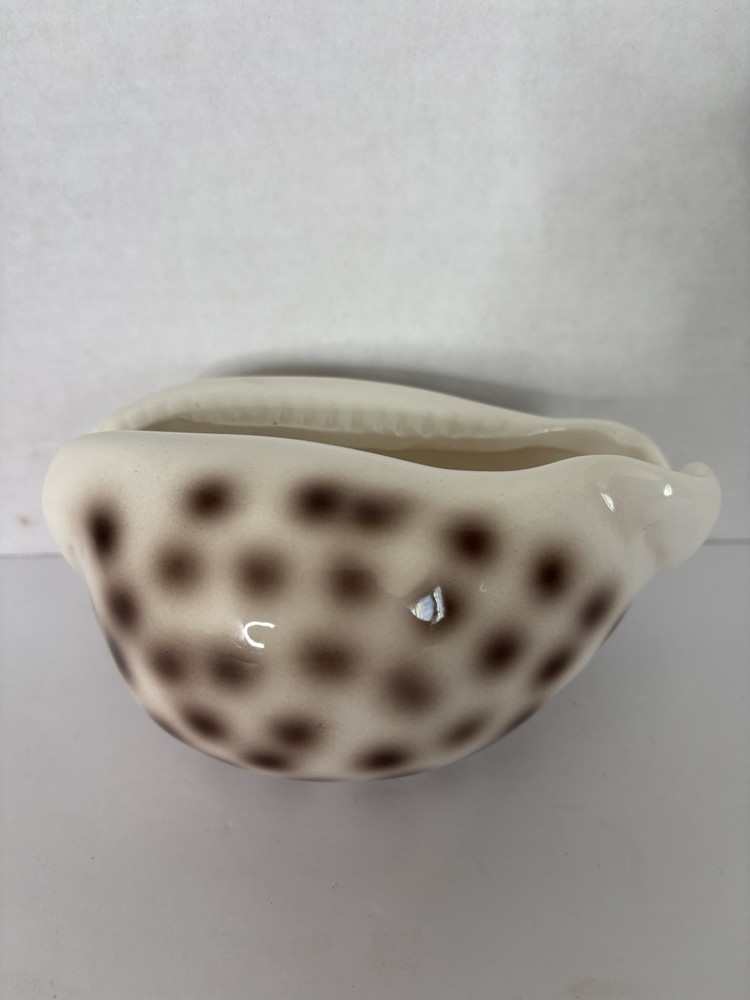 Ceramic Shell-Shaped Planter White Brown Polka Dot Glossy Pottery Decor
