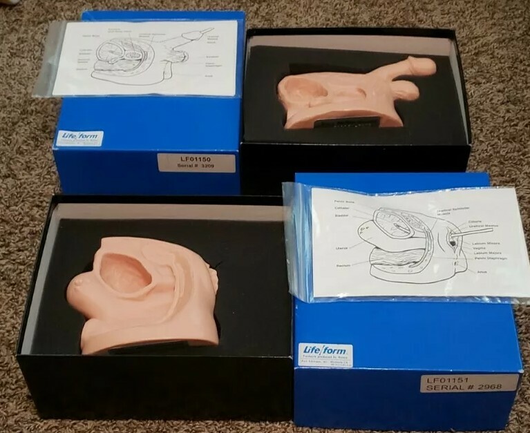 Life Form Medical Learning Parts