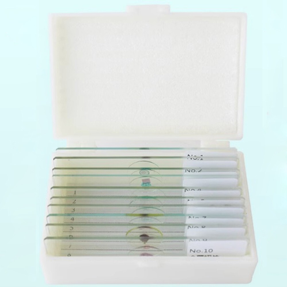10PCS Prepared Microscope Slides in Algae Specimen f Teaching & Research
