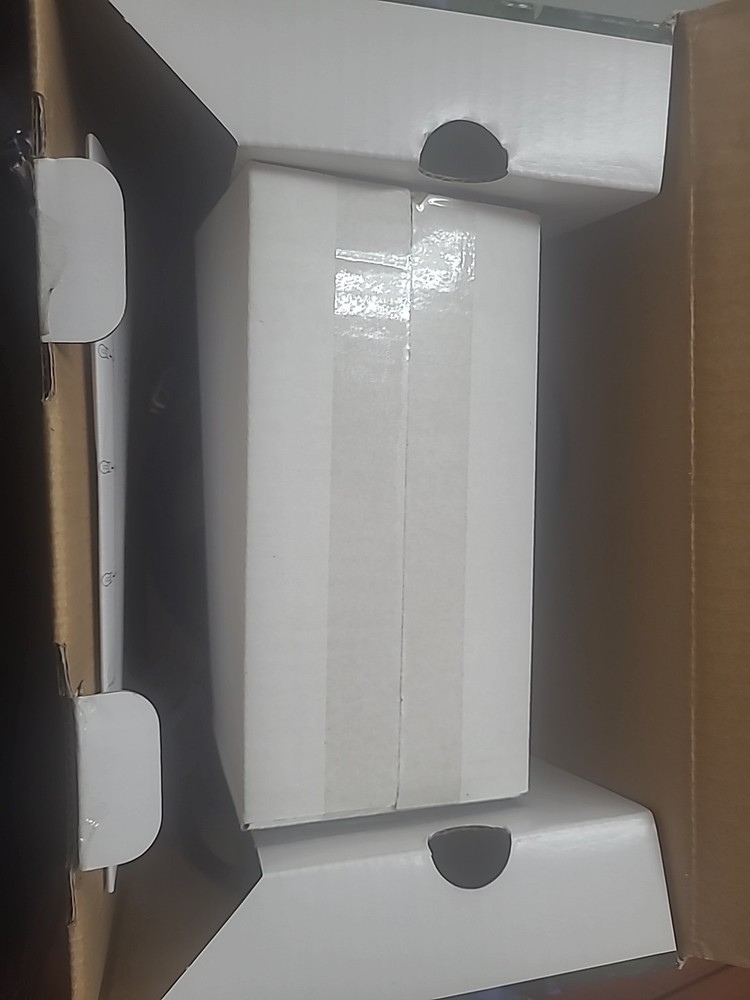 Hampton Bay FLAME EFFECT or SOLID 6-Light 12 ft. LED S14 String Lights A1