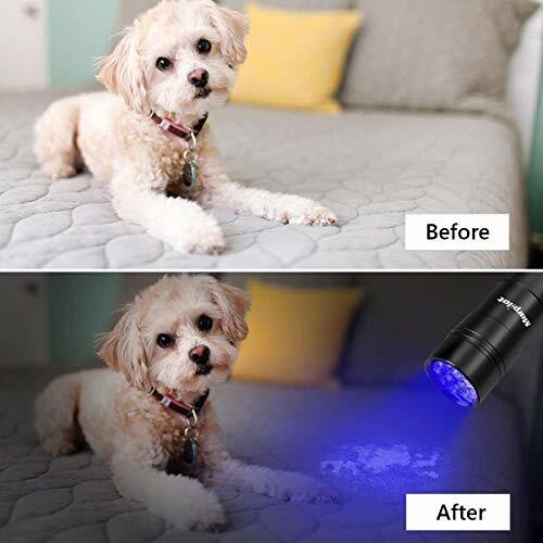 Morpilot Light, 2 Pc UV Flashlight 12 Led Torch Detector for Pets Urine & Stains