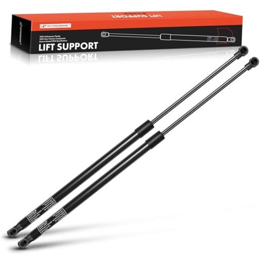 Liftgate Rear Trunk Lift Supports Shock Struts Compatible with Select