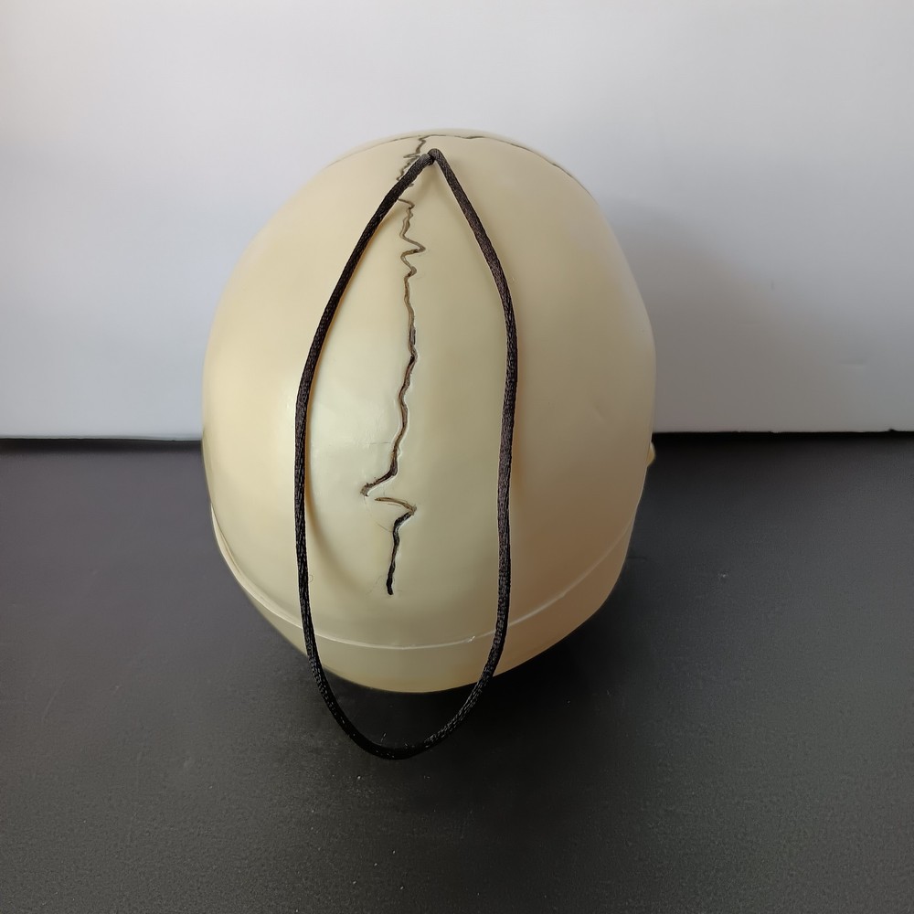 Lighted-Talking Plastic Skull
