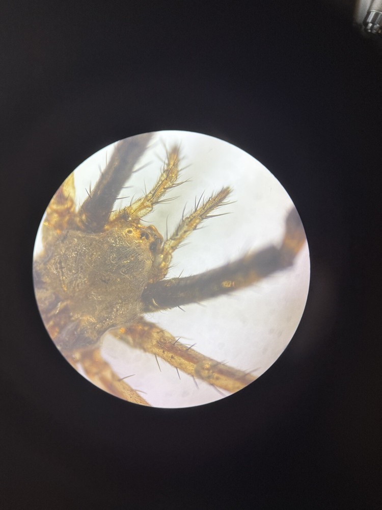 Microscopy Bundle