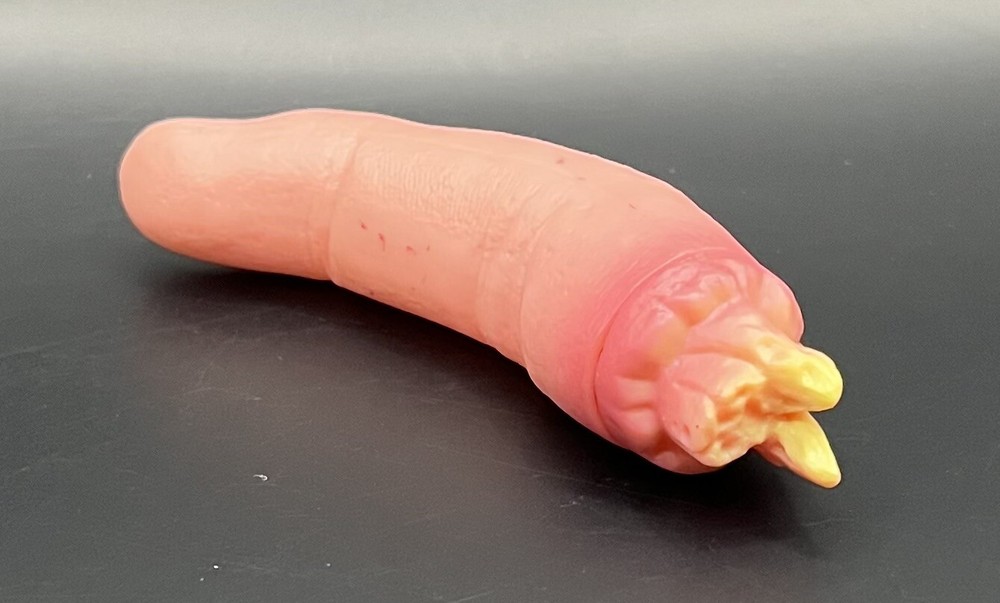 Halloween Prop Severed Finger