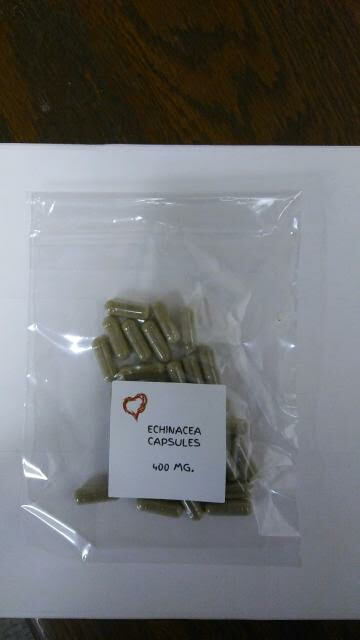 ECHINACEA CAPSULES~400 MG. PER 1 CAP~ 30 COUNT~IMMUNE SYSTEM, SINUS INFECTIONS