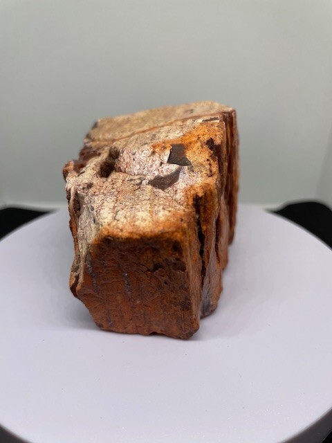 Petrified Wood - Crystal Meditation #3