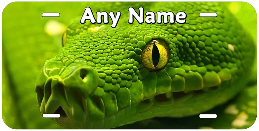 Snake Any Name Personalized Novelty Car License Plate