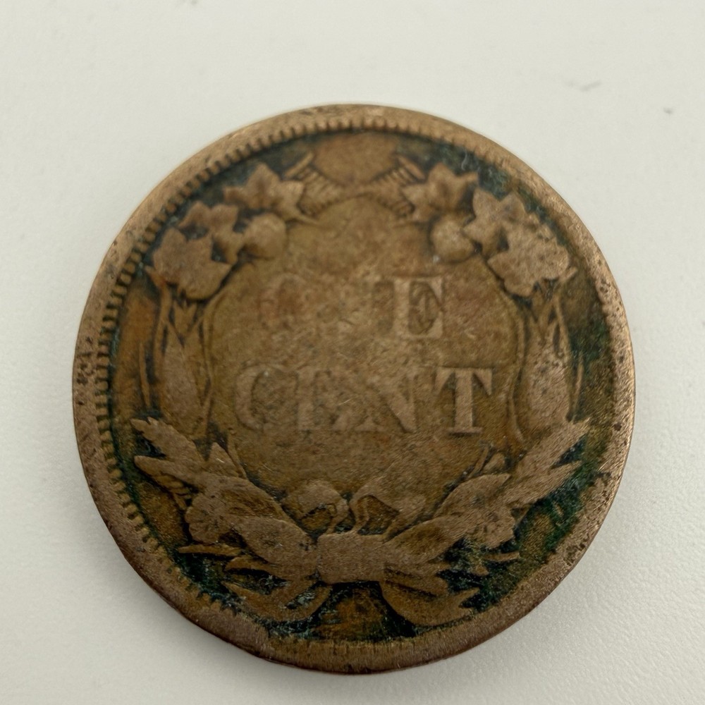 1858 Flying Eagle Cent Penny Small Letter U.S Coin