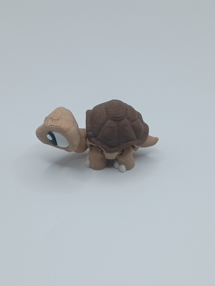 3D Printed Jiggle Pet Tortoise