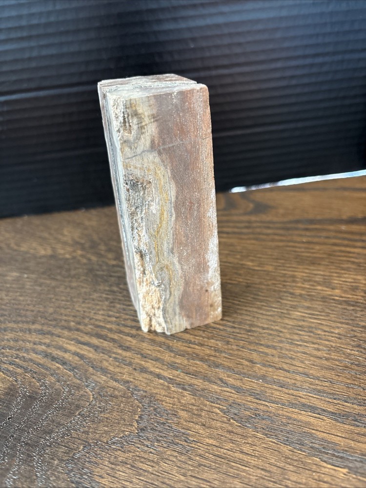 Petrified Wood