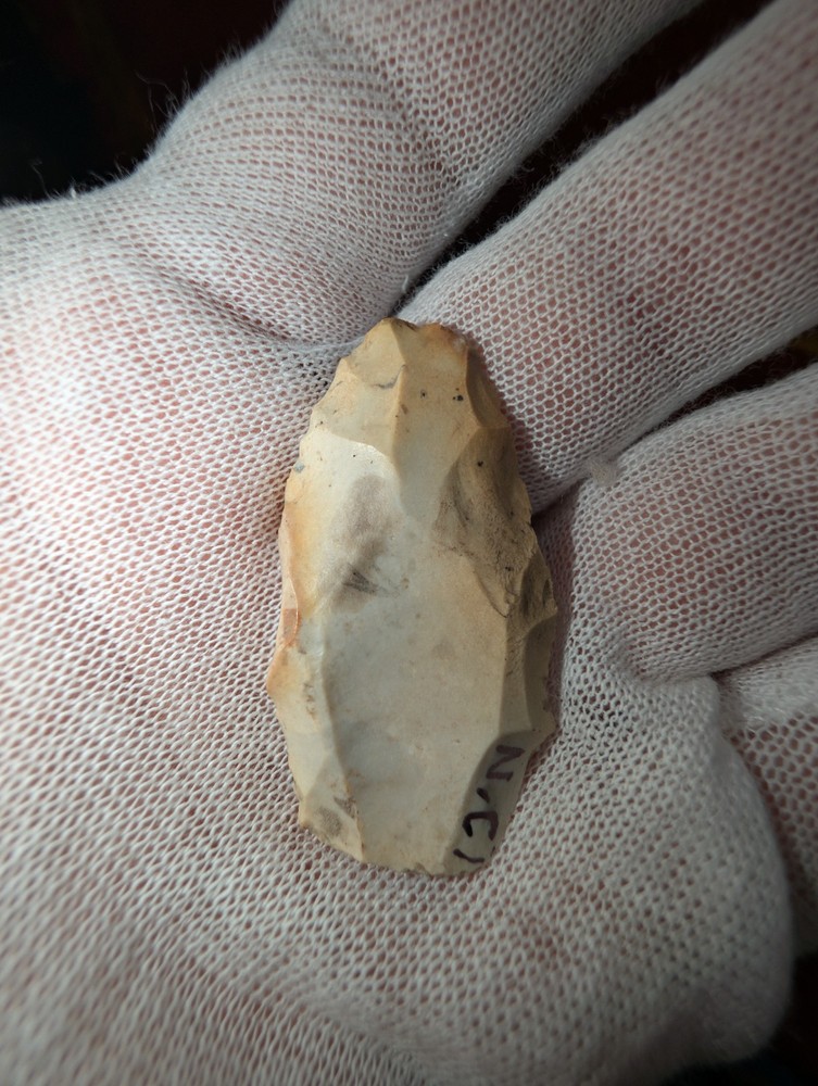 North Carolina Clovis Paleo Artifacts Arrowheads