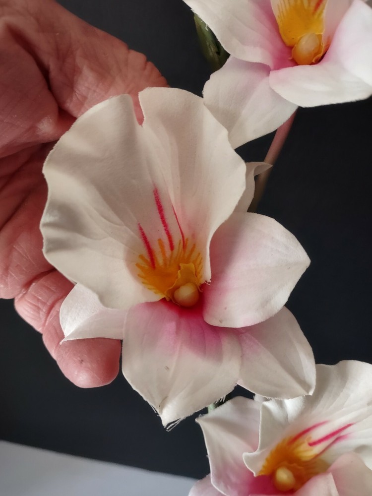 Artificial miltoniopsis orchid stem CREAM and PINK BLUSH