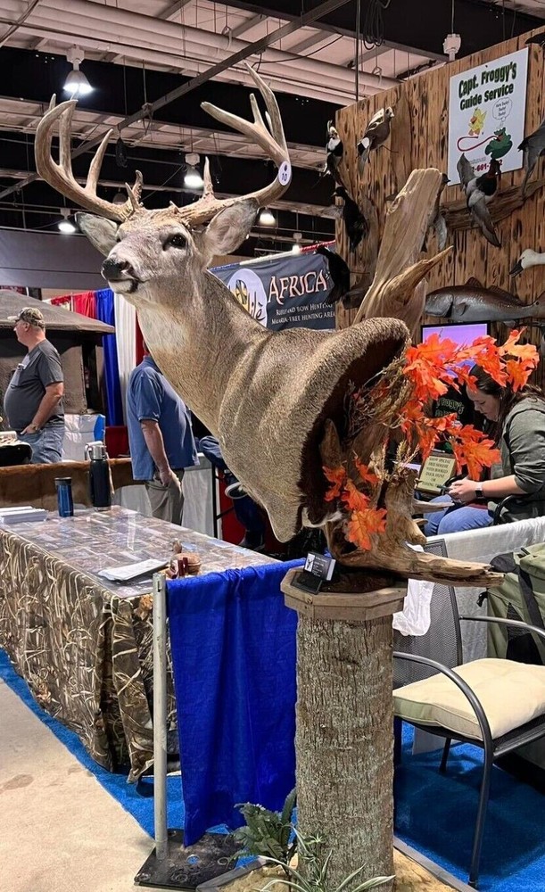 hunting blinds for deer