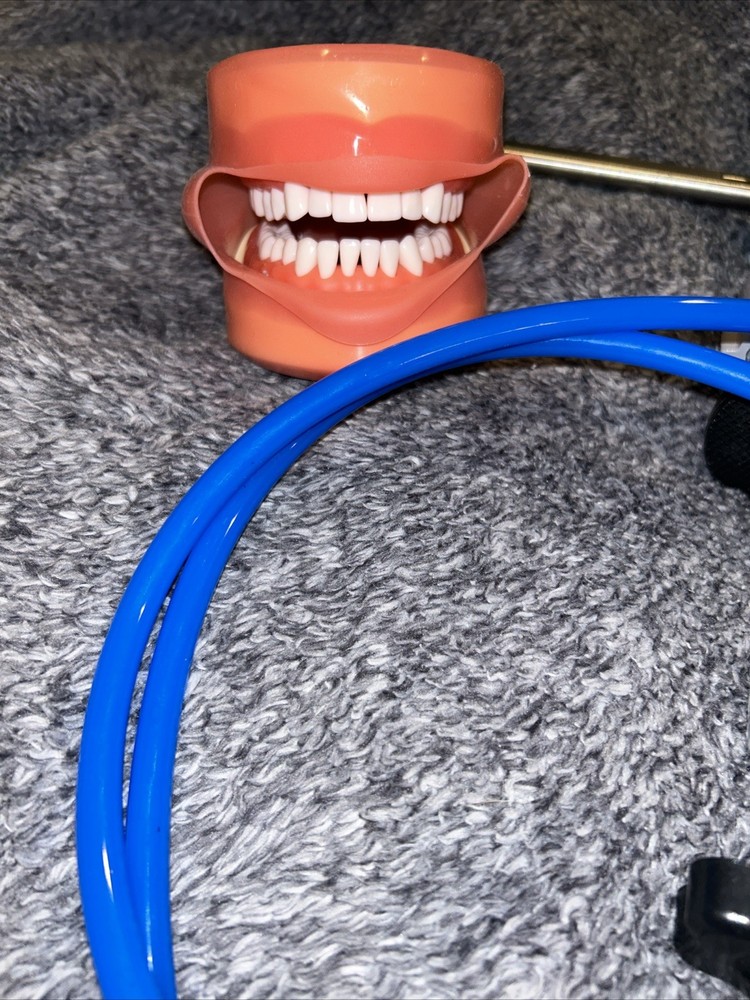 Dental Typodont Training Model Mount Kit