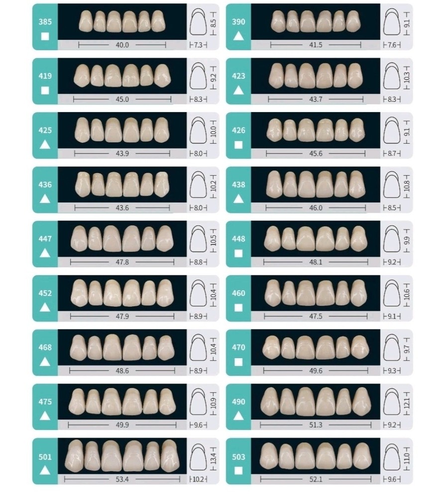 Multi-layer Composite Resin Teeth Dental Laboratory. Includes 20 full sets