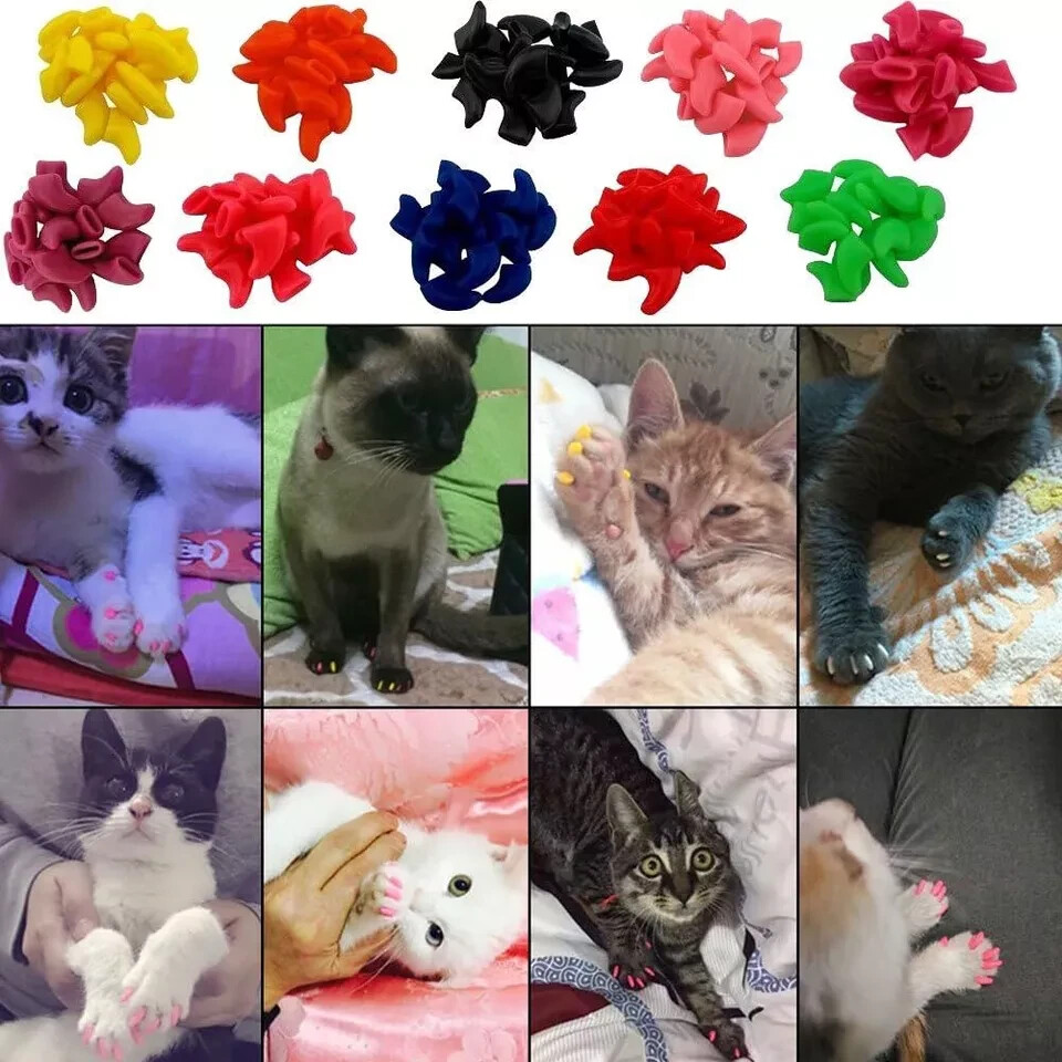 VICTHY Cat Nail Caps, 100pcs Medium Size 5 Colors with Glue Small, Multicolor