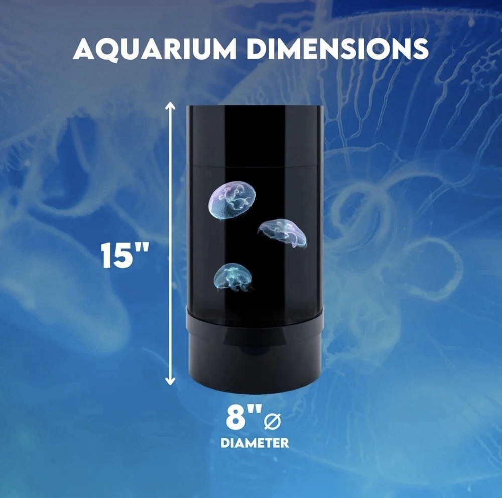 Live Jellyfish Art Aquarium