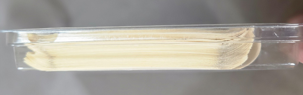 Highsmith Library book cards pockets, label protectors.