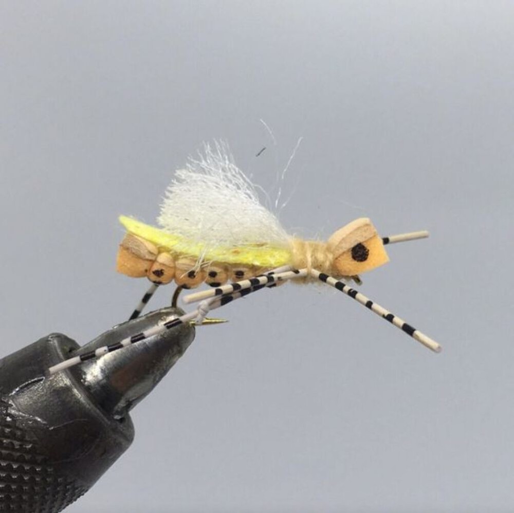 One Dozen (12) - White Cloud Hopper - Peach - Terrestrial