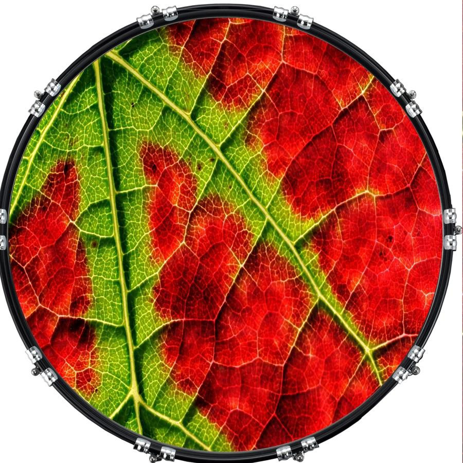 20" Custom Bass Kick Drum Front Head Graphical Graphic Leaf 2